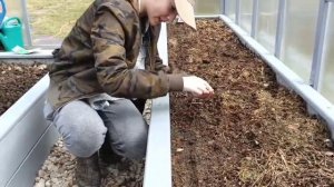 Начало дачного сезона! Сдаю редиску и рукколу