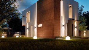 petal_20250408_182313.mp4