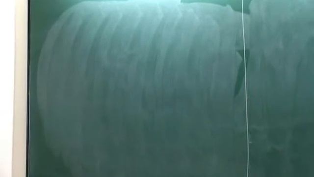 09 02 2012 part 2 смотреть онлайн