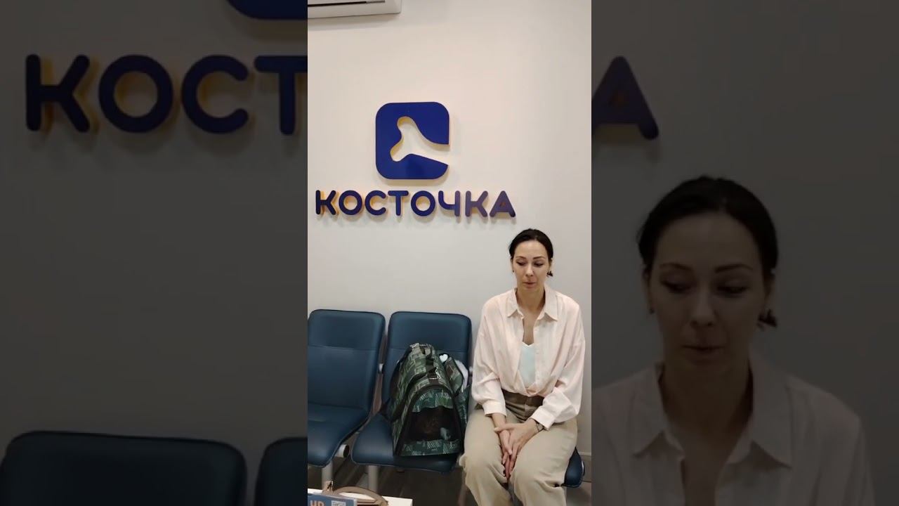 Кот Финн  Отказ от еды, рвота смотреть онлайн