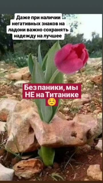Коррекционная хиромантия- древний способ изменить жизнь к лучшему 👍