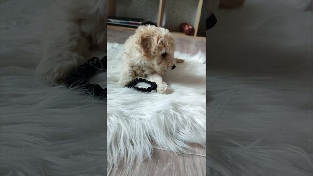 мальчик