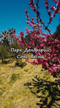 Парк Дендрарий, Сочи. Весна