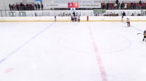 Регулярный турнир "KIMRY CUP" для детей 2011 г.р. ХК "Кристалл" и ХК "Русские Медведи"