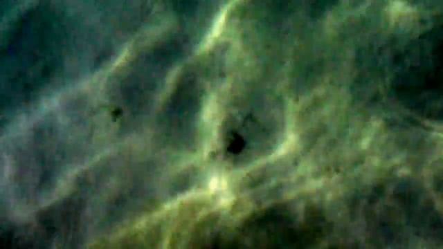 Рибка и раковина смотреть онлайн