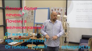 Почему болит печень — только ли от водки? Есть и другие причины! Почему камни в желчном?