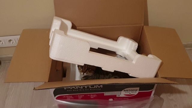 Прикупили кое что для себя. Небо разверзлось. ⛈️🌧️🌩️ Котопозитив. 😺😸😹🐈