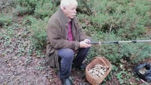 Рыбак пошел за грибами