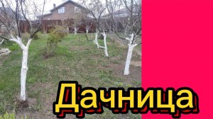 ДЕРЕВЕНСКИЙ ДНЕВНИК. "ДАЧНИЦА"