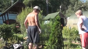 Посадили тую и подмосковную розу// Пересадили хосту и пожарили шашлык