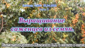 Железов Валерий. Вебинар 334. ч.1. Выращивание саженцев из семян.