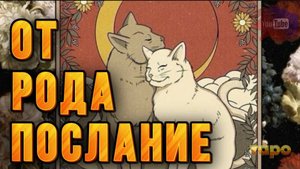 🫶🕊️СРОЧНОЕ ПОСЛАНИЕ ВАШЕГО РОДА‼️МЕНА ВАЖНОЕ ⚡️⚡️