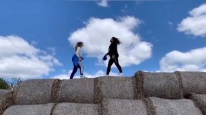 Fly