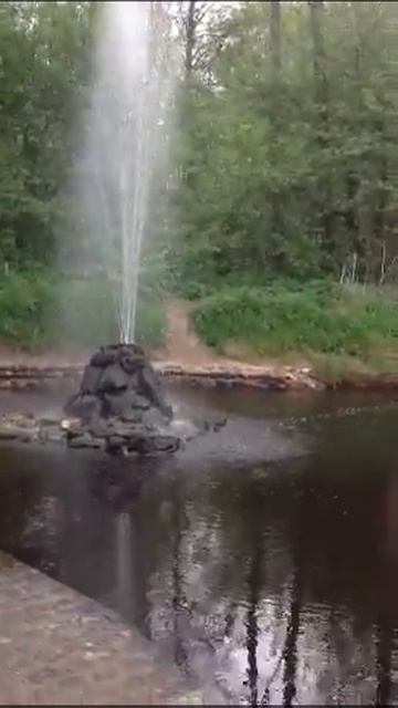 Судогда Владимирская область смотреть онлайн