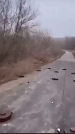 СВО