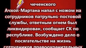 Житель чеченского Ачхой-Мартана напал с ножом на сотрудников патрульно-постовой службы