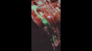 Съемка внутри купола 4