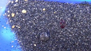 Жизнь продолжается