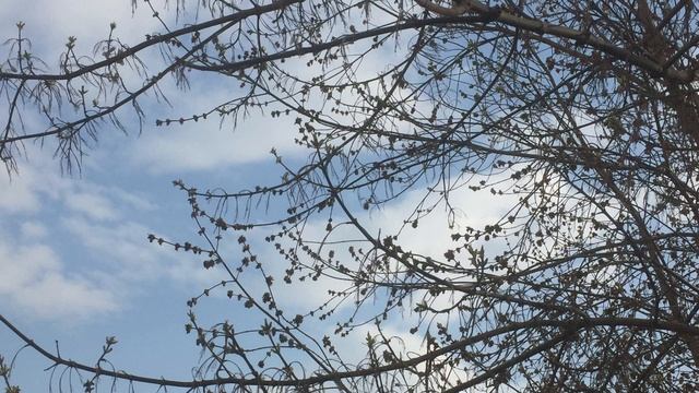 Апрельское. смотреть онлайн