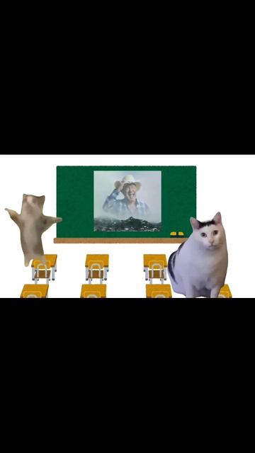 Японские мемы с котами🐱🎌 #shorts #japan #японскийязык #japanese #японскаякультура #кот #котики