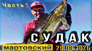 Судаки ранней весной. ТРОФЕЙ. Часть 1.  Как  поймать КРУПНОГО СУДАКА.  Рыбалка 29.03.2025