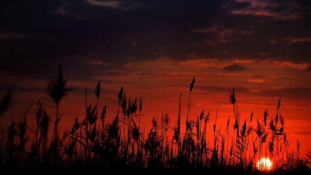 Teri Ungali Pakad Ke Chala - Cover Song by Chamod Perera. смотреть онлайн