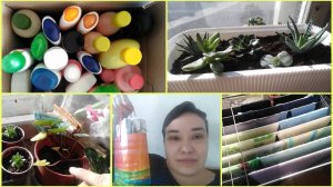Расхламление, Пересадила суккуленты, Заблокировали видео, Разговор по душам.. 13/2025