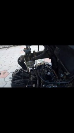 scene_output.mp4