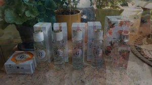 влог - в ожидании посылки, играю с Хвостиком, показываю клипсы. Рената Смирнова.2025