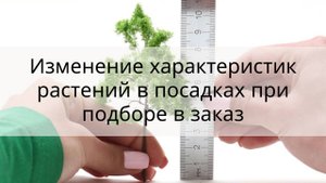 Изменение характеристик растений в посадках при подборе в Заказ