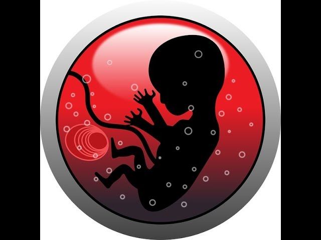 Аннотация семинара по остеопатической биодинамике — краниосакральный семинар Проекта Остеопрактика
