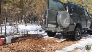 Первое путешествие Андреича 2025