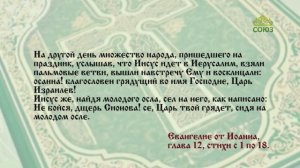 Евангелие 13 апреля. Осанна! благословен грядущий во имя Господне, Царь Израилев!