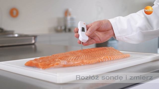 Termometr penetracyjny testo 103 смотреть онлайн