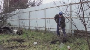 Обрезал и посадил клубнику/ Пересадил кусты крыжовника