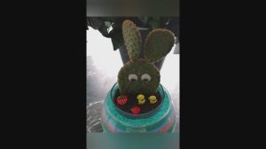 Кактус опунция, делаем его интересным.