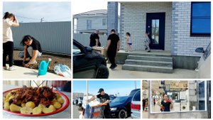 224 КУПИЛИ ДОМ НА ЮГЕ. ПОКУПАЕМ САНТЕХНИКУ .  ПЕРВЫЕ ХЛОПОТЫ НА УЧАСТКЕ.