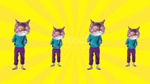 ТАНЦЫ КОТЯТ 🍈