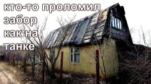 Дачный влог.Кто то сломал забор и уронил сосну.