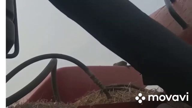 19 04 2020 закрытие влаги
