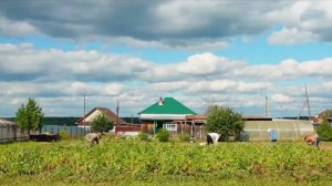 ПОДПИСЧИКИ ПРИЕХАЛИ В ГОСТИ С ПОДАРКОМ ｜ КОПАЕМ КАРТОШКУ У ДЕДУШКИ ｜ ВКУСНЫЙ РЕЦЕПТ ОГУРЦОВ