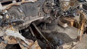 Два близнеца за день. Краше друг друга 😄