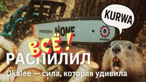 Китай удивляет! Тест аккумуляторной цепной пилы + апгрейд шины"