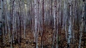 Хребет Крака-г.Арвякрязь.