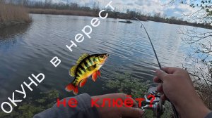 ОКУНЬ в нерест не клюёт? или КЛЮЁТ? Мормышинг и лучшие Окуневые "уговорители" покажут. Топ приманки