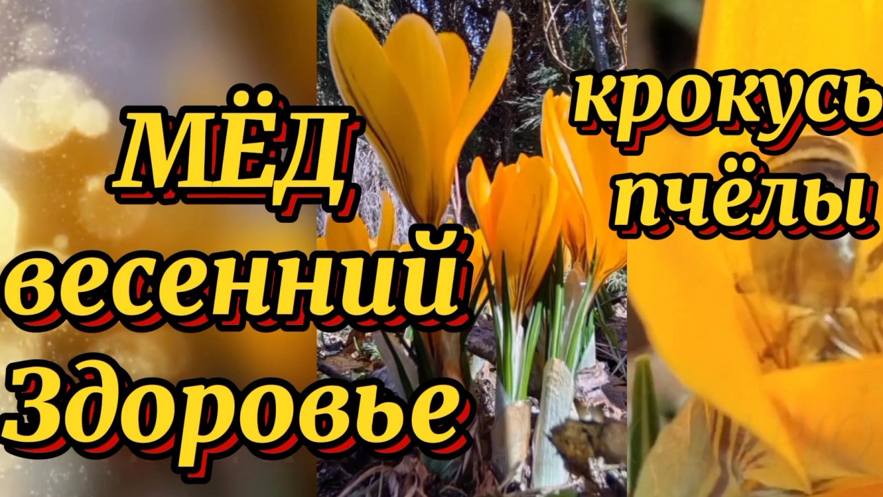 Мёд для здоровья.
Полезные советы.