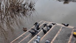 Поездка в Томск.