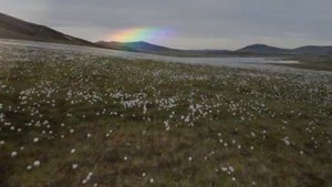 Городское поселение «Поселок Тикси» «Булунский улус» Республики Саха (Якутия)