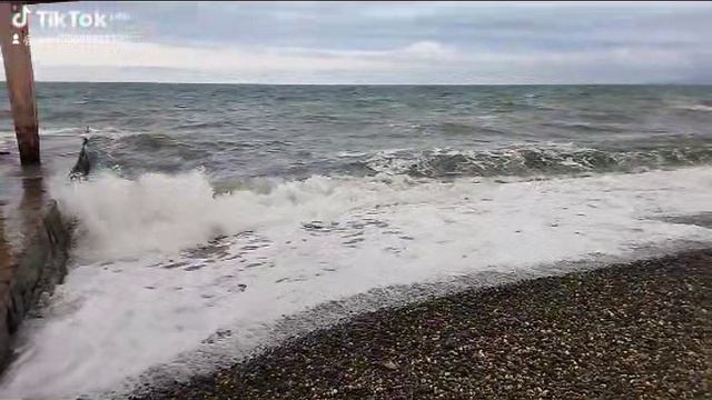 Чёрное море не пахнет морем. Адлер. 08.04.2025 г.
#экология #мазутвморе #адлер #черноеморе