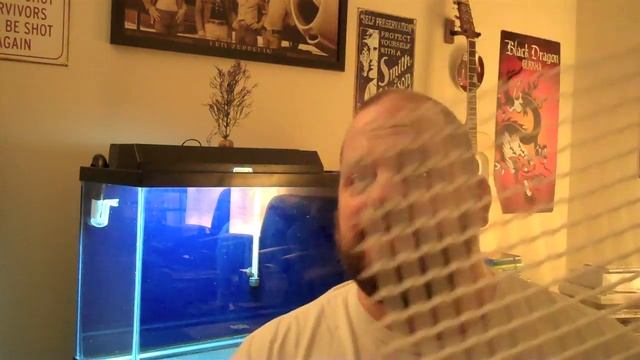 "Egg Crate" - Ceiling grid substrate support - African Cichlid Aquarium Tank смотреть онлайн